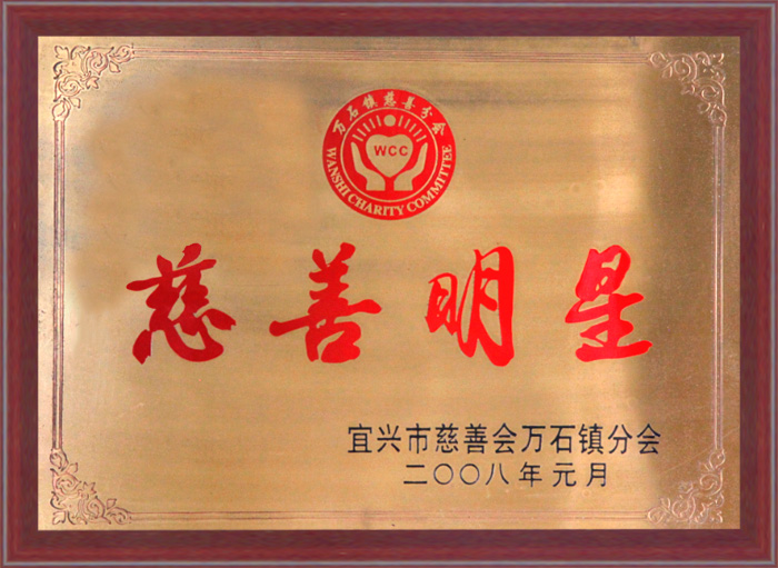 慈善之星